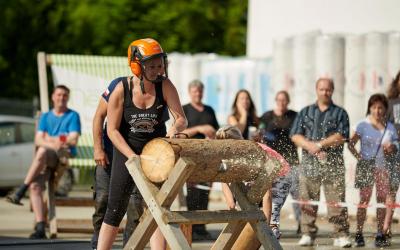 Festival 2022 Galerie 28